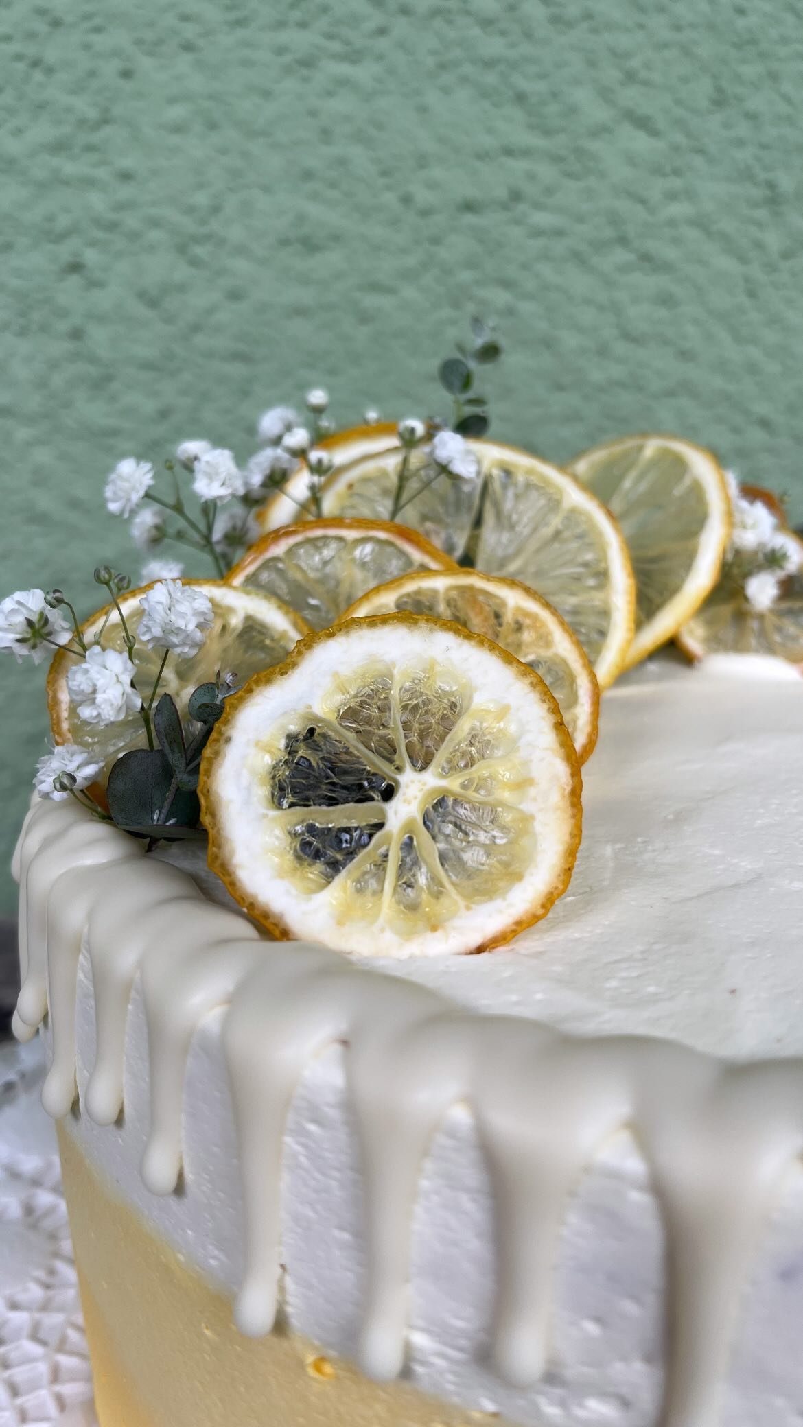 Kuchen mit weißen Zuckerguss und getrockneten Zitronenscheiben, verziert mit kleinen weißen Blumen und grünen Blättern.
